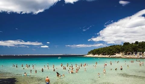 Restaurant/places to eat, Off site, Neighbourhood, Natural landscape, Children play ground, Fishing, Beach, Aqua park, Diving, Evening entertainment, Supermarket/grocery shop, Entertainment