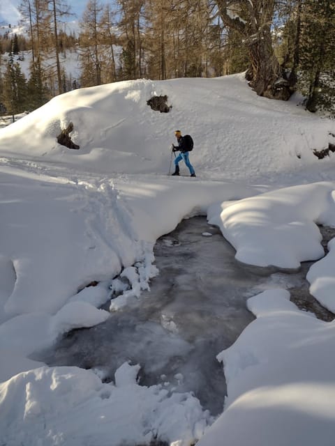 Activities, Winter, Sports