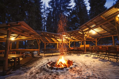 Natural landscape, Winter, BBQ facilities