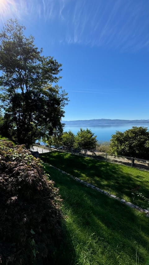 Nearby landmark, Spring, Natural landscape, Lake view