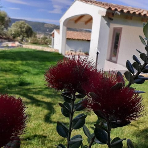 SardAma B&B Affittacamere Bed and breakfast in Sardinia