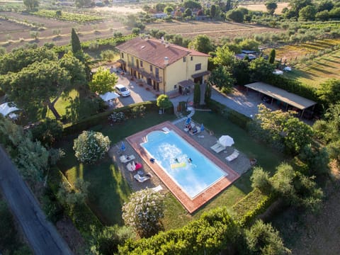 Bird's eye view, Garden, Swimming pool