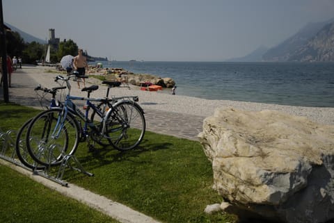 Natural landscape, Beach, Lake view