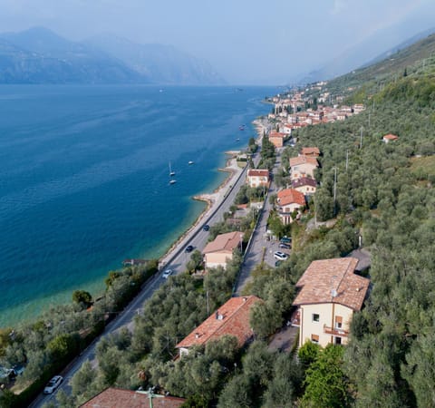 Madonna Dell'Aiuto True View Olivo Condo in Brenzone sul Garda