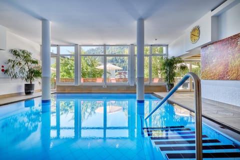 Spa and wellness centre/facilities, Swimming pool