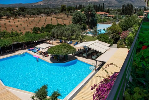 Pool view, Swimming pool