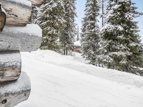 Holiday Home Kuusiruka 10 by Interhome House in Lapland