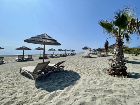 Beach, Sea view, sunbed