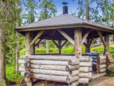 Holiday Home Seitsemän savua 4 by Interhome House in Lapland