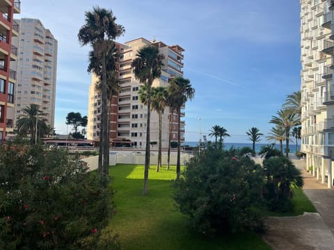 Natural landscape, Garden view, Sea view