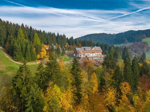 Property building, Neighbourhood, Bird's eye view