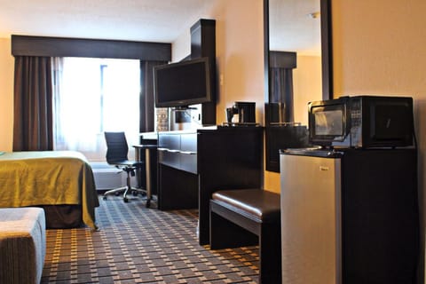 Quality Inn & Suites Detroit Metro Airport Hotel in Romulus