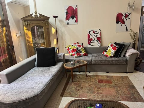 Fifth Settlement Apartment Condo in New Cairo City