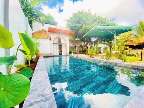 Patio, Garden, Swimming pool