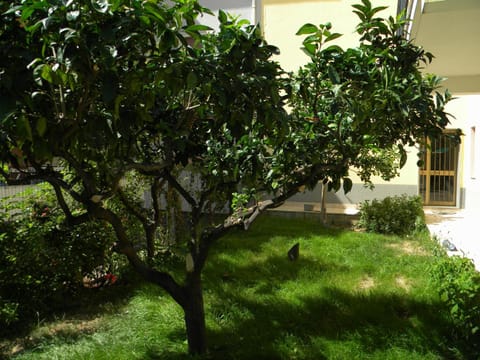 B&B Il Giardino Diamante Bed and Breakfast in Diamante