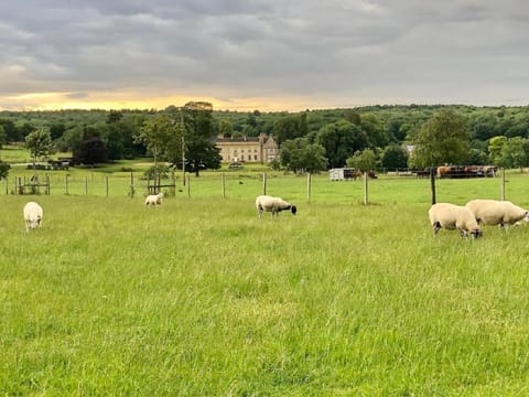 Moo Cow Cottage Self Catering Farm Stay in South Kesteven District