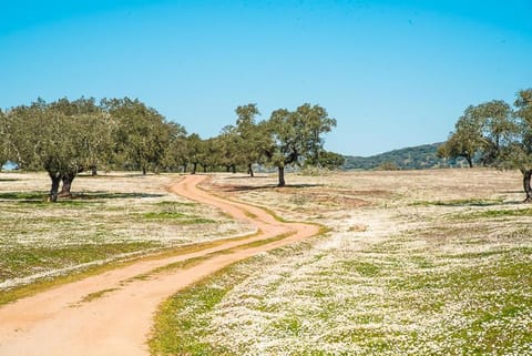 Agro-Turismo Herdade do Carneiro House in Setubal District