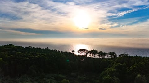 Off site, Beach, Sea view