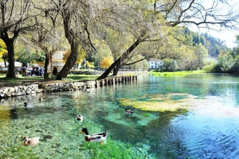 Nearby landmark, Natural landscape, Lake view