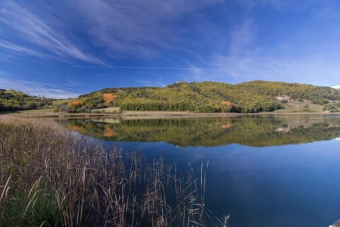 Property building, Lake view