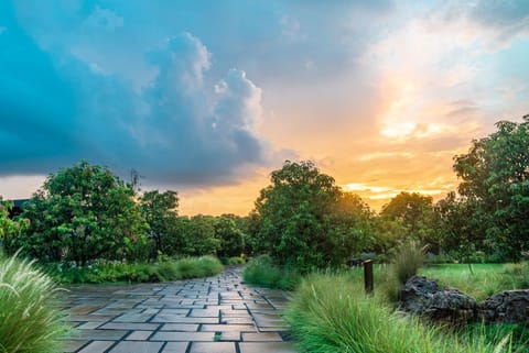 Natural landscape, Other, On site, Garden view