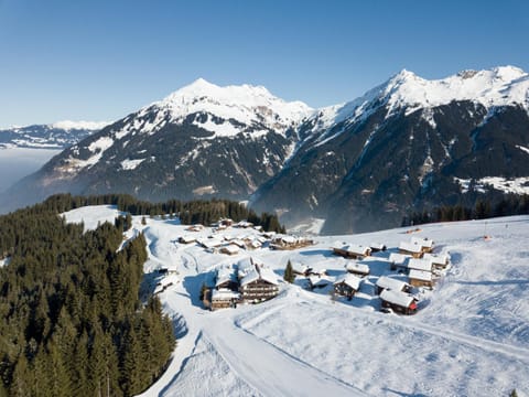 Bird's eye view, Skiing