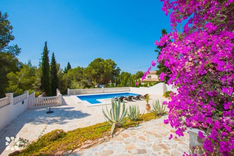 Spring, Day, Garden, Garden view, Pool view, Swimming pool, sunbed