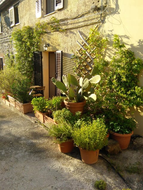 Casa del sole House in Lazio
