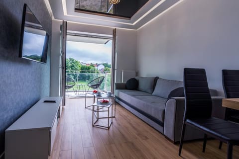 Balcony/Terrace, Living room, Seating area