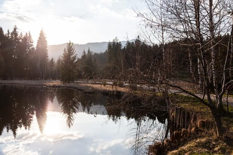 Bruggerhof - Camping, Restaurant, Hotel Hotel in Kitzbuhel