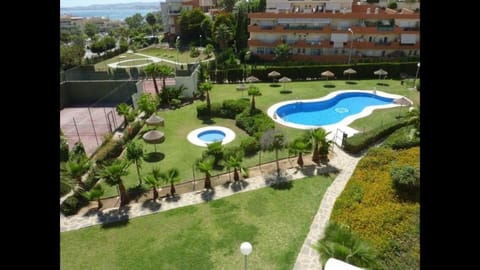 Garden, Swimming pool