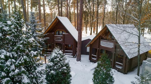 Day, Winter, On site, Garden view