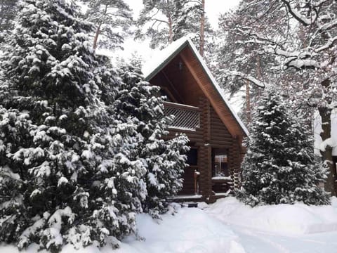 Property building, Natural landscape, Winter