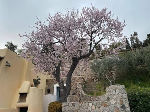 La Casa del Mandorlo House in Lipari