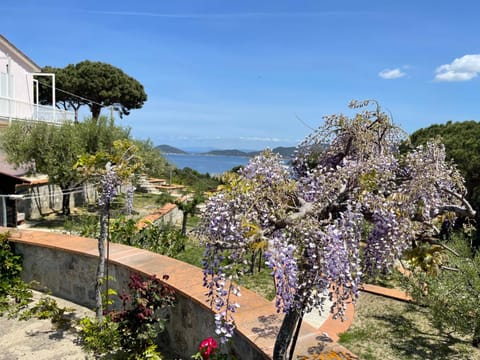 View (from property/room), Inner courtyard view