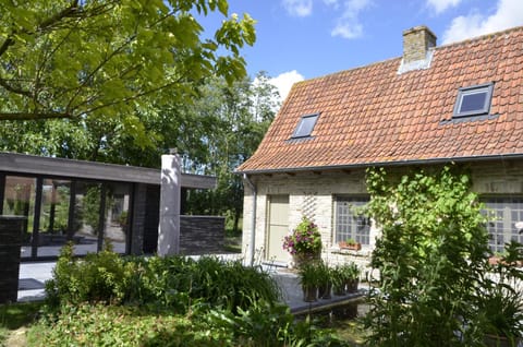 Property building, Sauna, Garden view