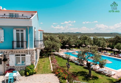 Pool view, Swimming pool