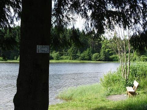 Hüttenflair am See mit Kamin House in Clausthal-Zellerfeld