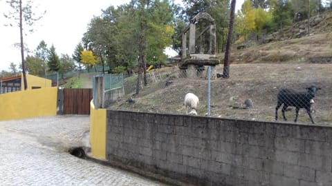 Casas de Canavezes House in Porto District