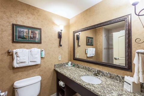 Comfort Suites Alamo Riverwalk Hotel in San Antonio