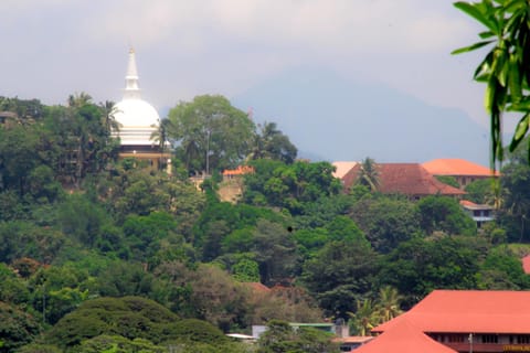 Nearby landmark, City view, Landmark view, Mountain view