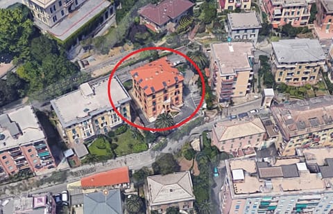 Bird's eye view, Other