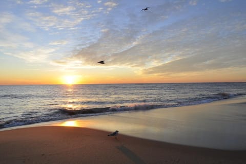 Natural landscape, Beach, Area and facilities, Sunrise