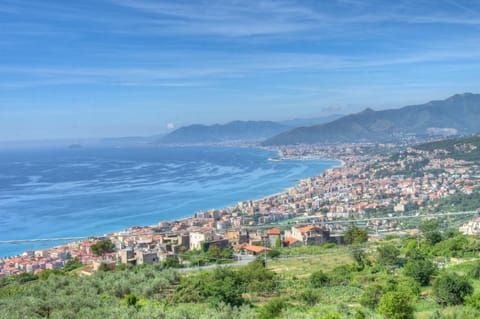 City view