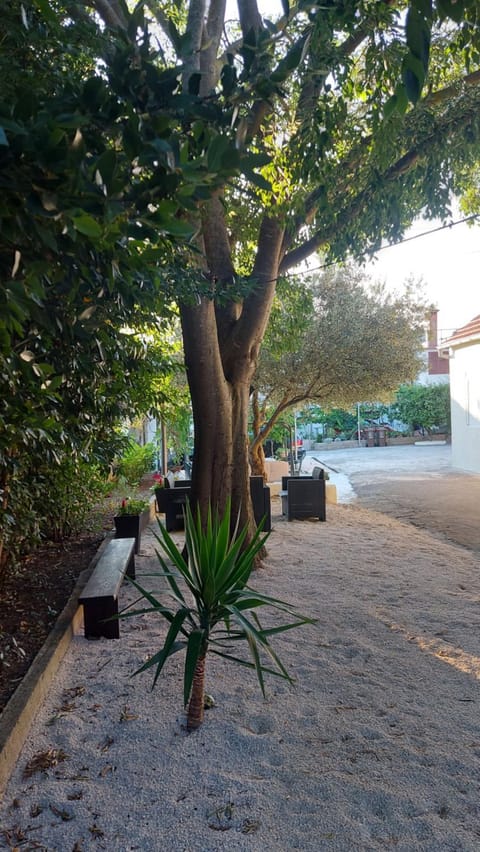 Apartments Jeličić Apartment in Biograd na Moru