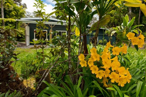 Property building, Natural landscape, Garden, Garden, Internal: Not applicable to any particular room