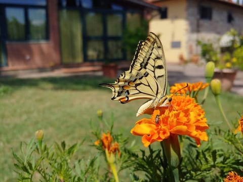 La Fattoressa Farm Stay in Florence
