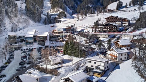 Ski School, Skiing, Mountain view