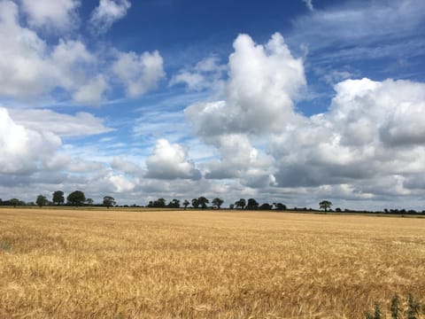 Walnut Tree Lodge House in Broadland District