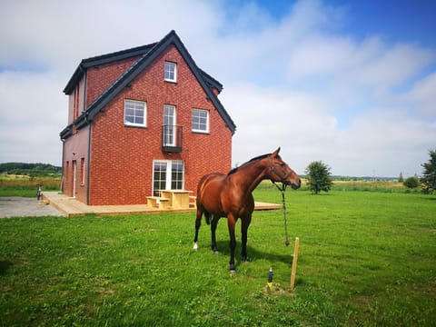 Klevas Apartment in Klaipėda County, Lithuania